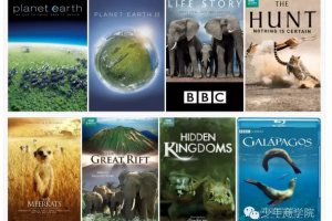 BBC又来开孩子眼界了丨自然科学爱好者必备资源