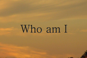 《我是谁》：跨学科研究幸福