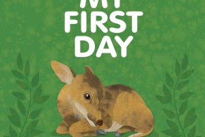 告诉孩子TA出生第一天的故事：本周荐书My First Day
